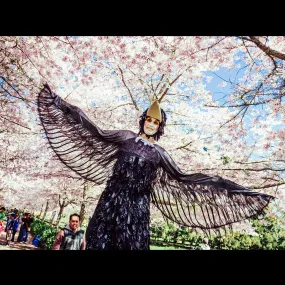 Free Lunch - Stilt Walkers - Hamilton